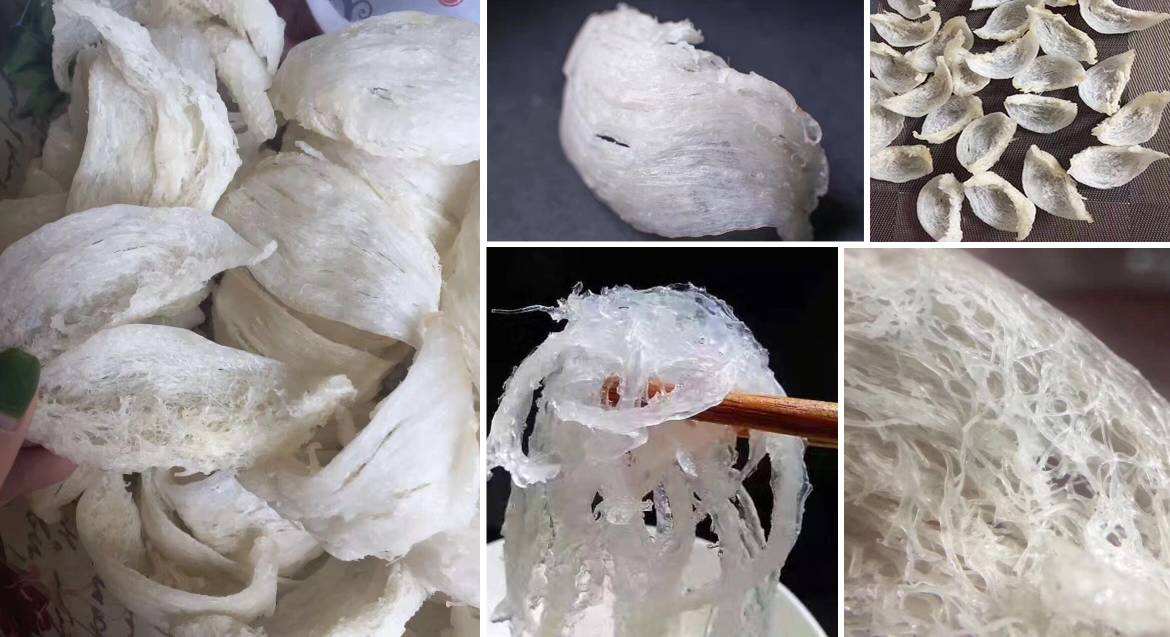 燕窩odm貼牌加工廠家：燕窩是奢侈品？有錢人才吃得起？看完這篇文章你就知道了！